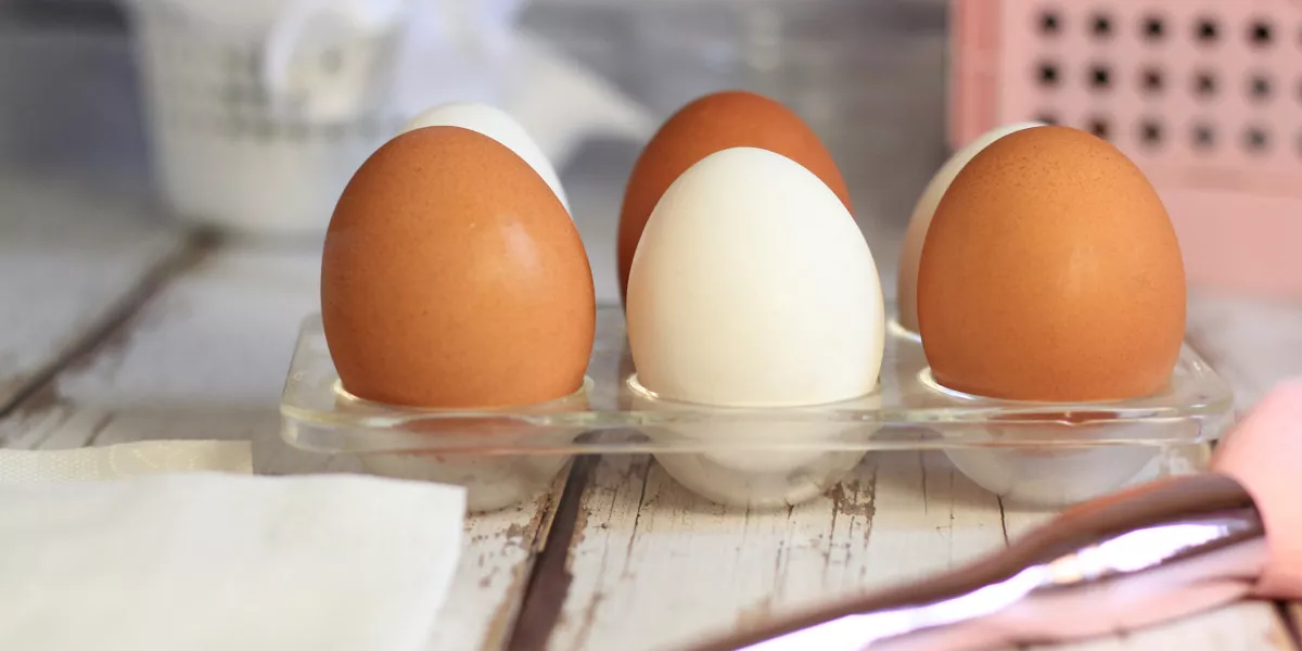 АиФ: Экономист Терновский оценил меры по борьбе с ростом цен на куриные яйца