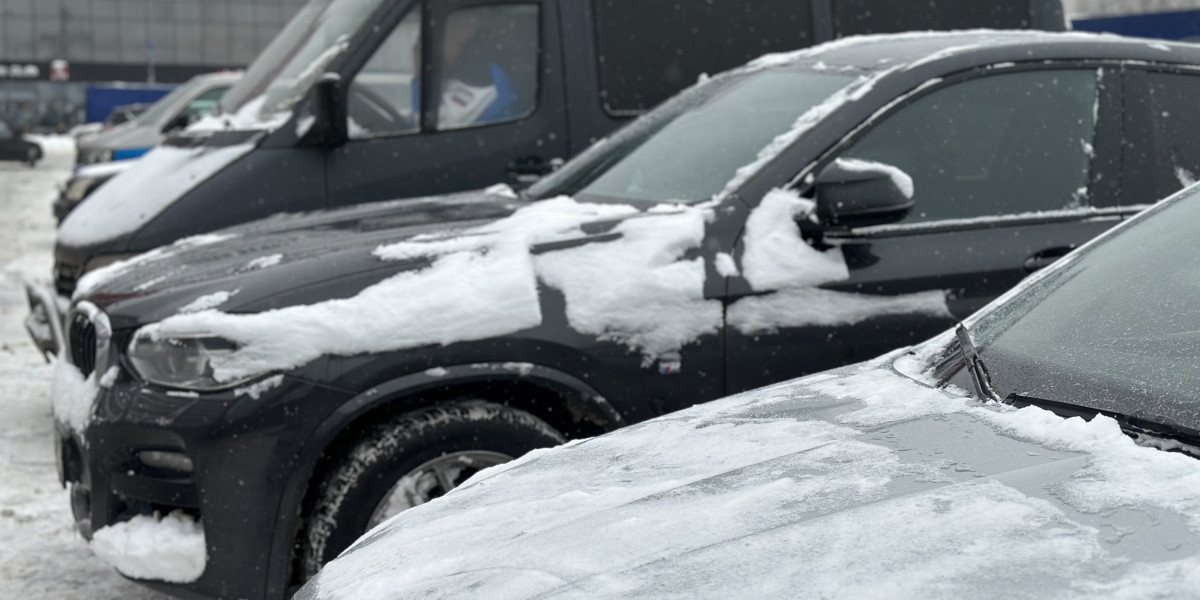Car.ru назвал простые способы открыть замерзшую дверь автомобиля