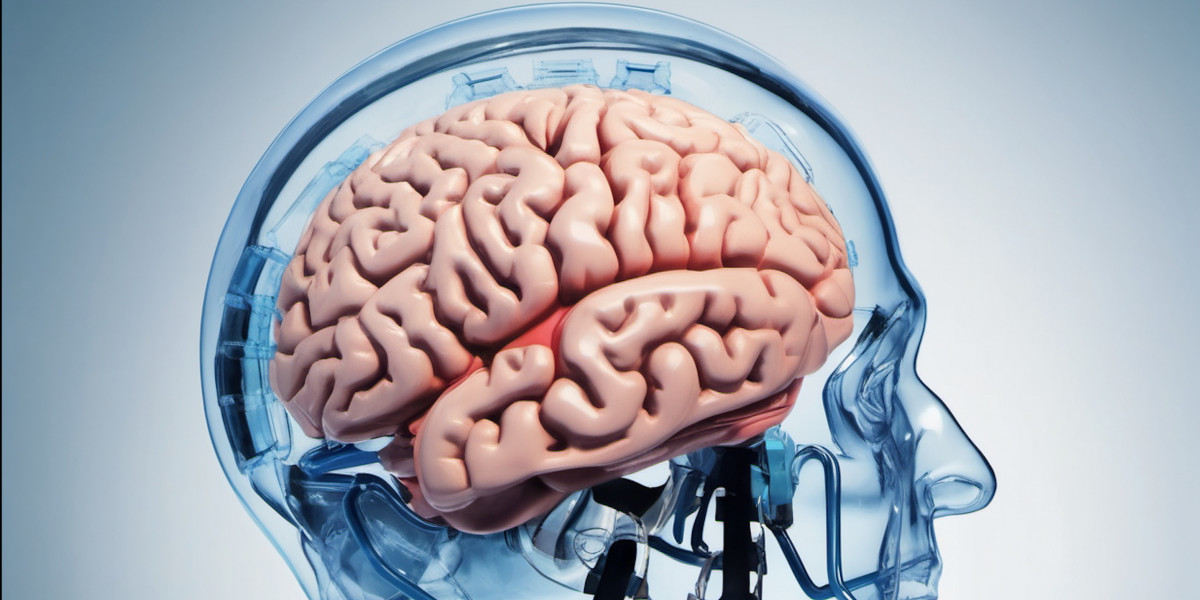 Медики обнаружили полезные для мозга продукты